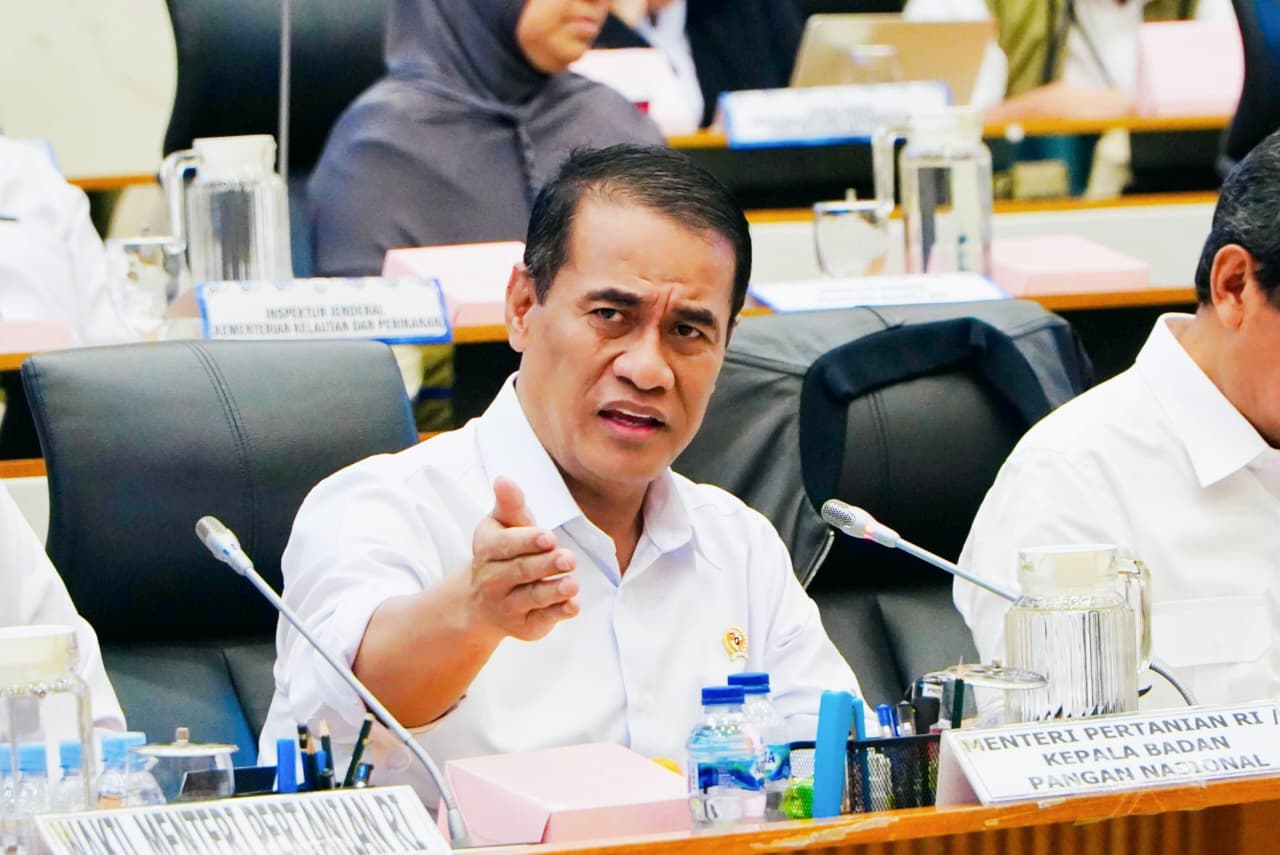 Pemerintah Perkuat Cadangan Pangan lewat Serapan Beras Tinggi