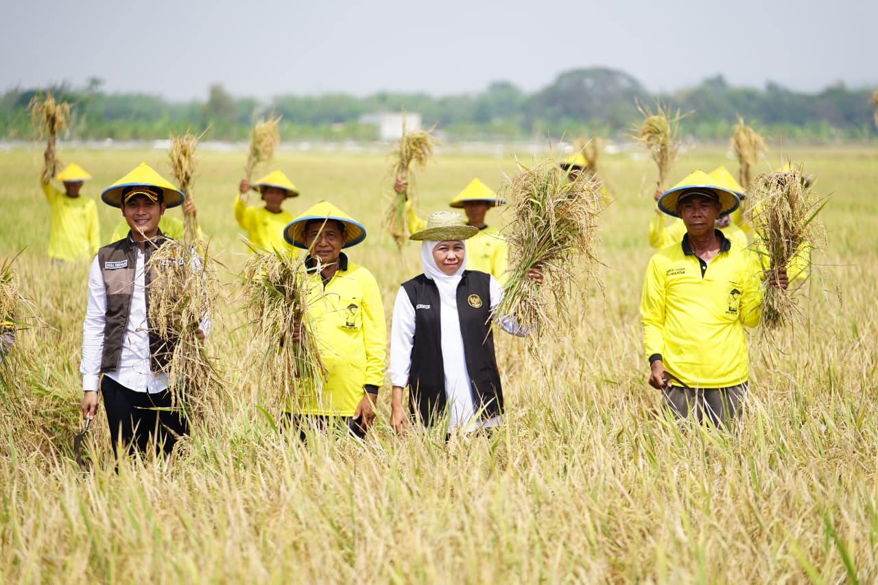 Gubernur Khofifah Dorong Sinergi Daerah Hadapi Kemarau 2026, Pastikan Produksi Pertanian Tidak Terganggu