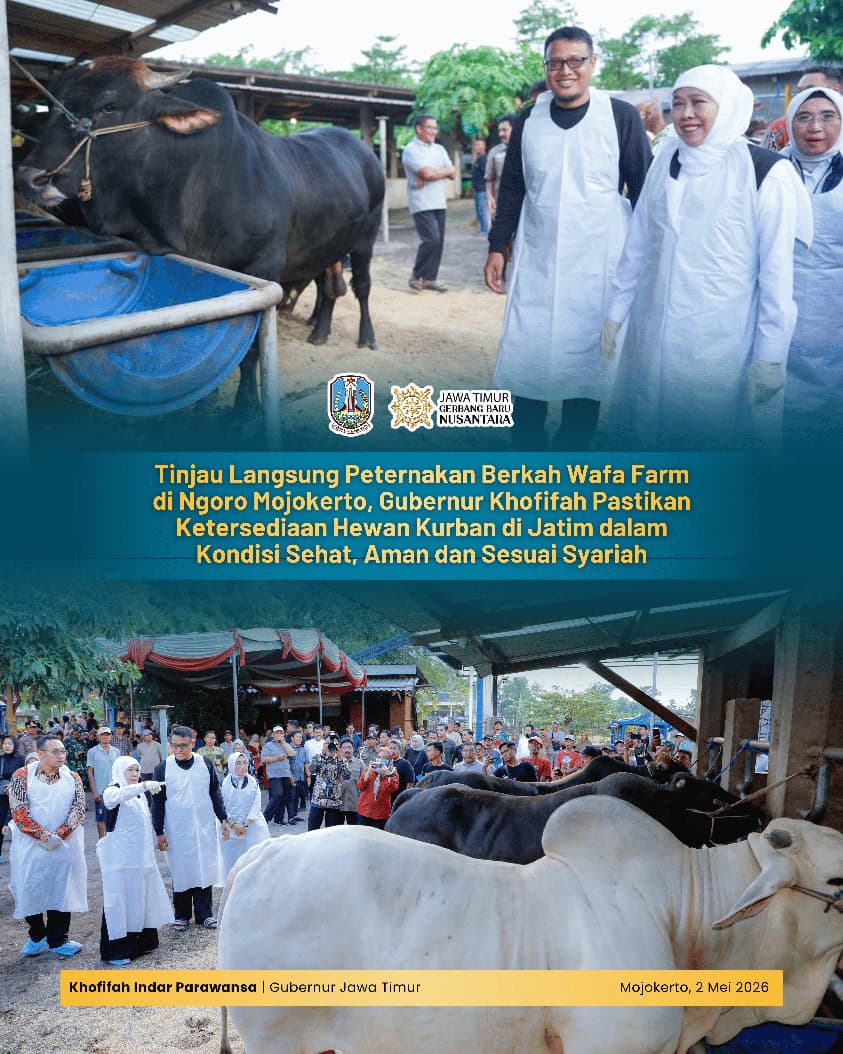 Gubernur Khofifah Pastikan Ketersediaan Hewan Kurban Jatim Surplus dan Bebas PMK
